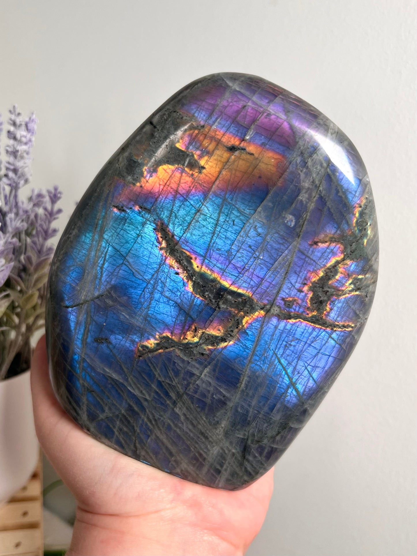 Statement Blue Labradorite Freeform