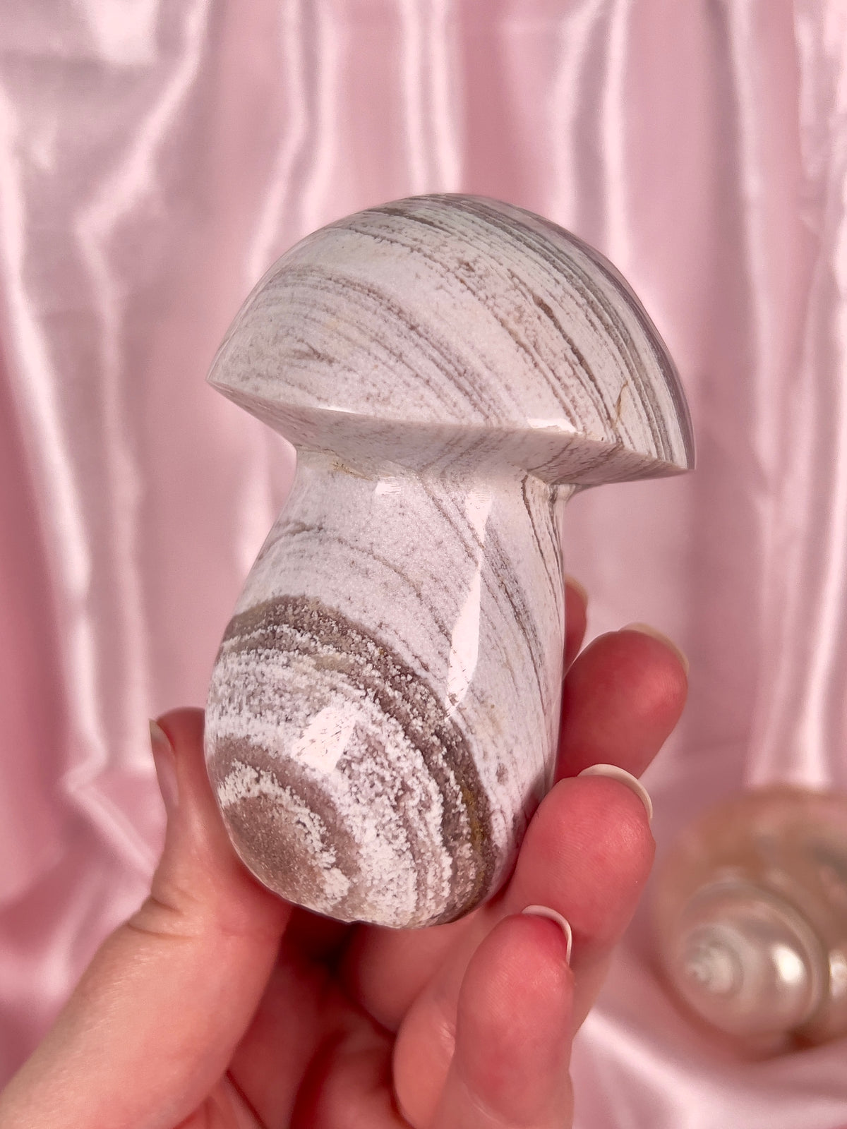 Neutral Sandy Sea Jasper Mushroom