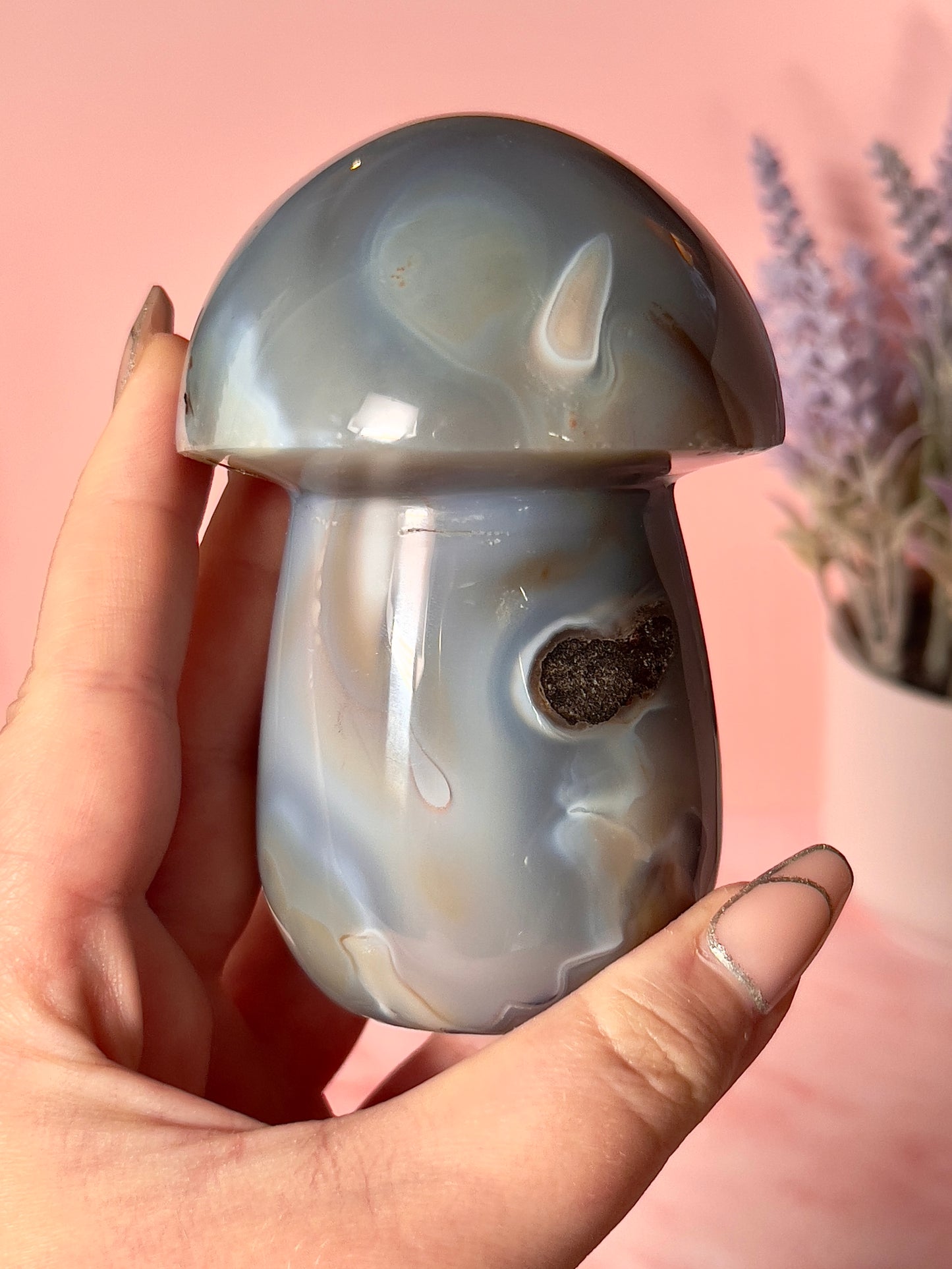 Beautiful Orca Agate Mushroom