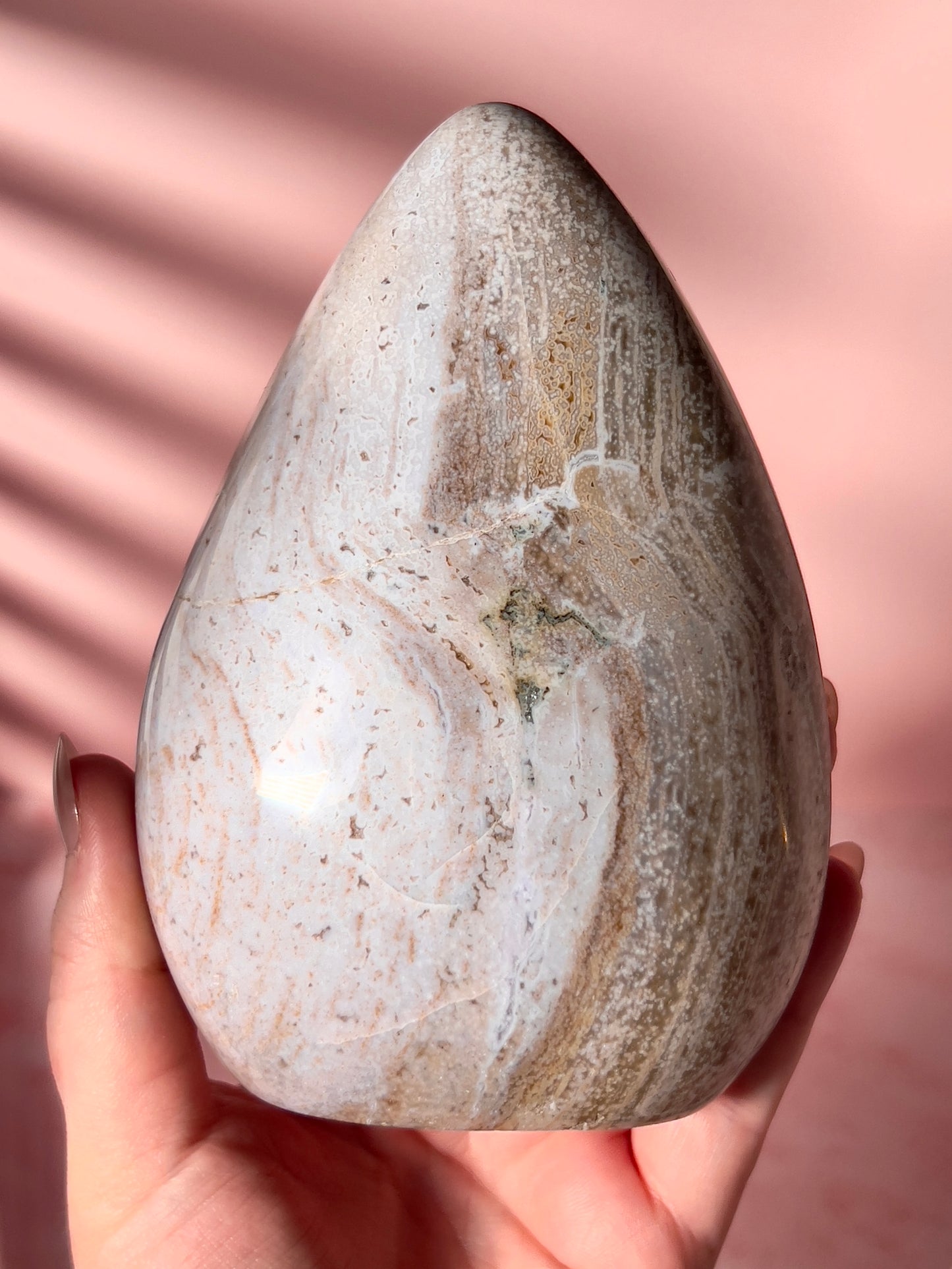 Neutral Orbicular Sea Jasper Freeform