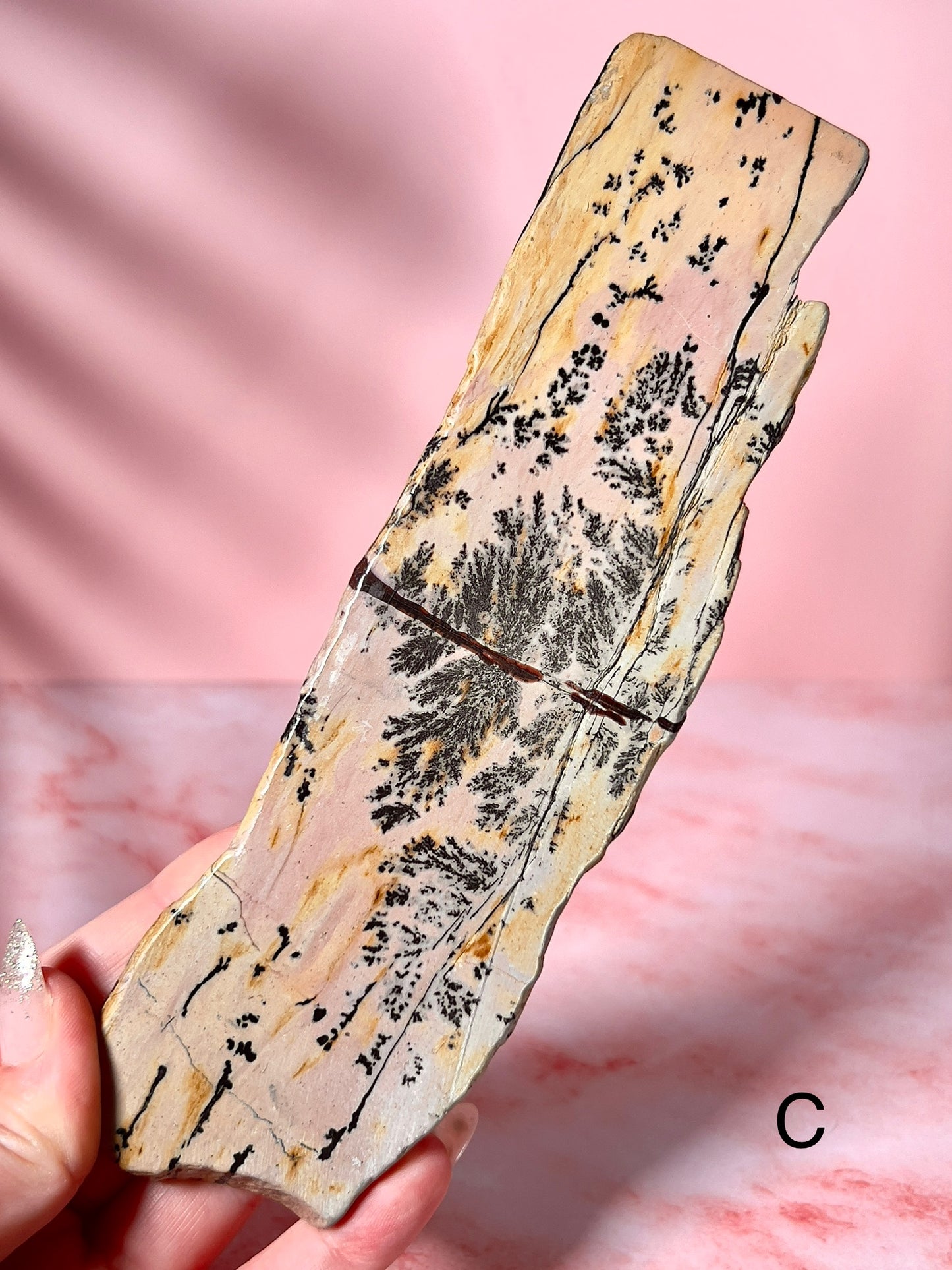 Picture Jasper Slabs - Choose Your Own
