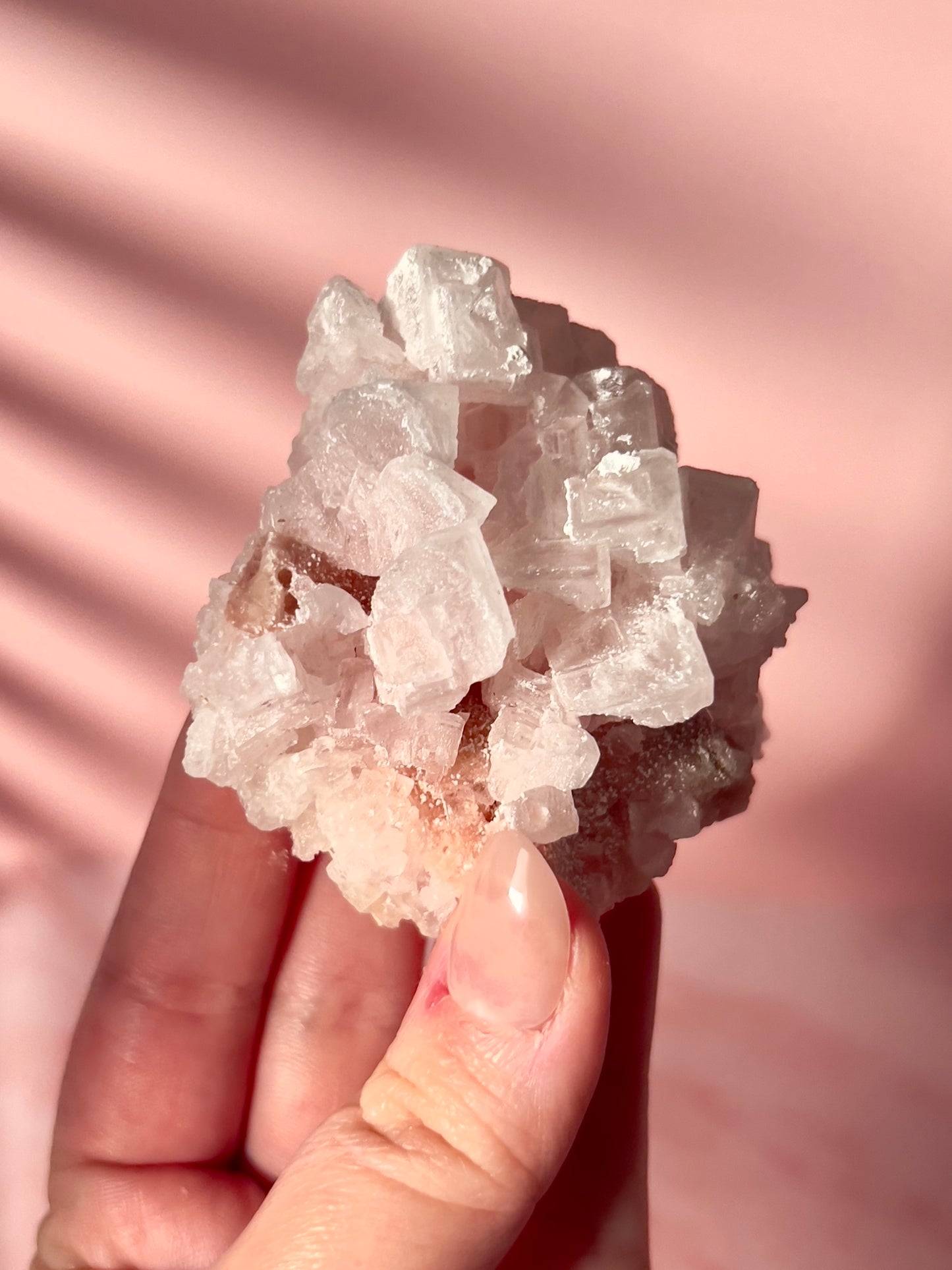 Pink Halite Specimen “D” from California