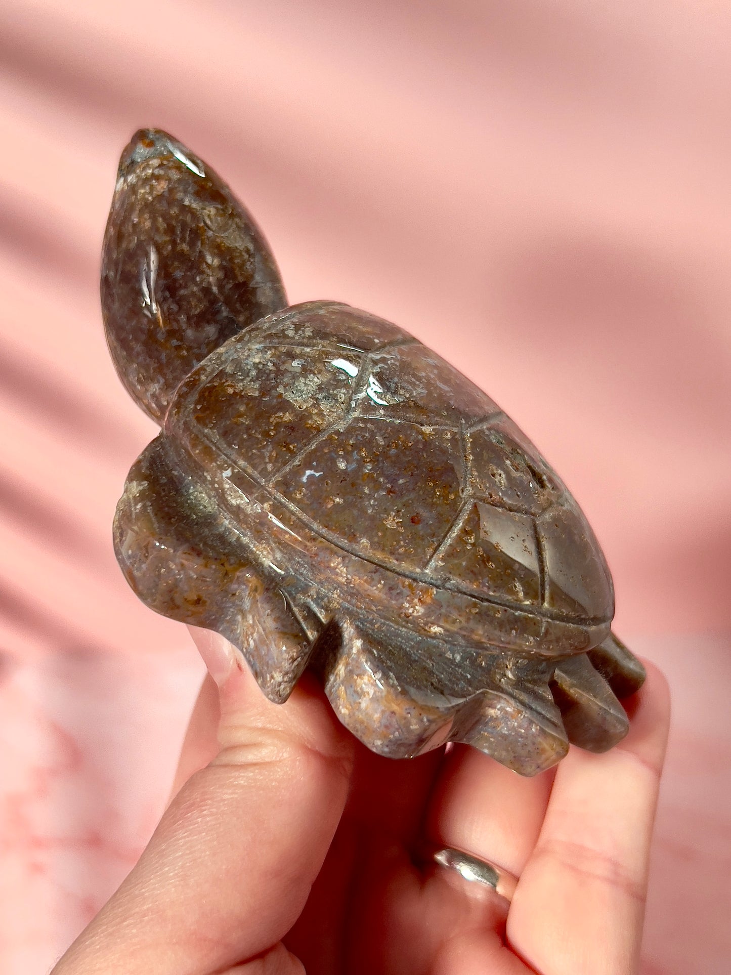 Earthy Sea Jasper Turtle