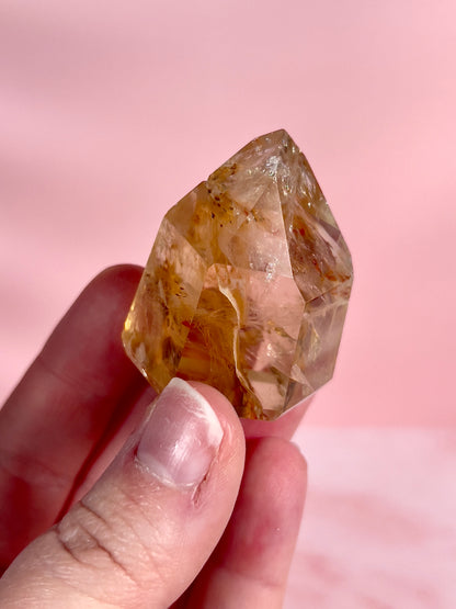 High Quality Golden Healer Tower from Brazil