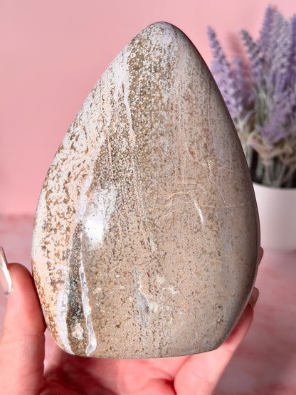 Orbicular Sea Jasper Freeform