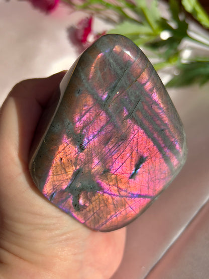 Pink Labradorite Freeform