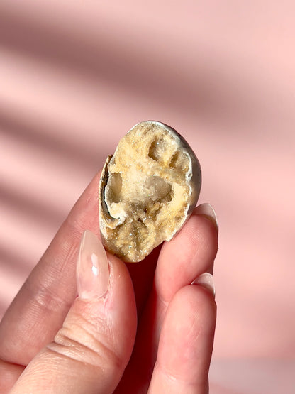 Crystallized Shells from India - Intuitively Chosen