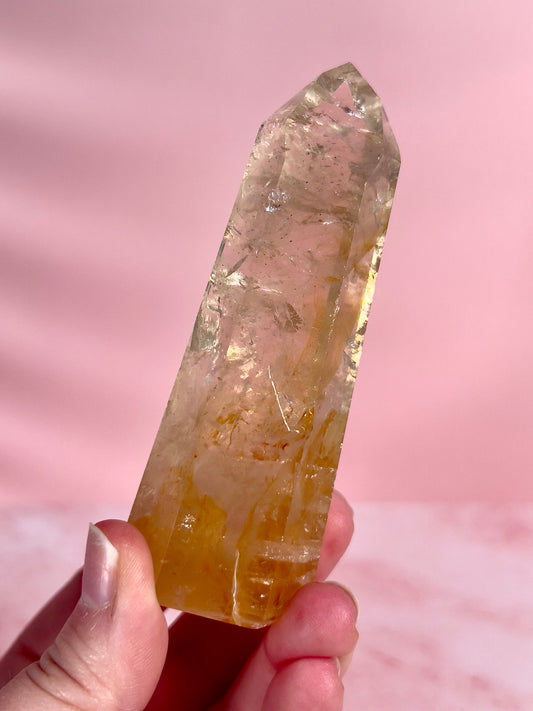 High Quality Golden Healer Tower from Brazil