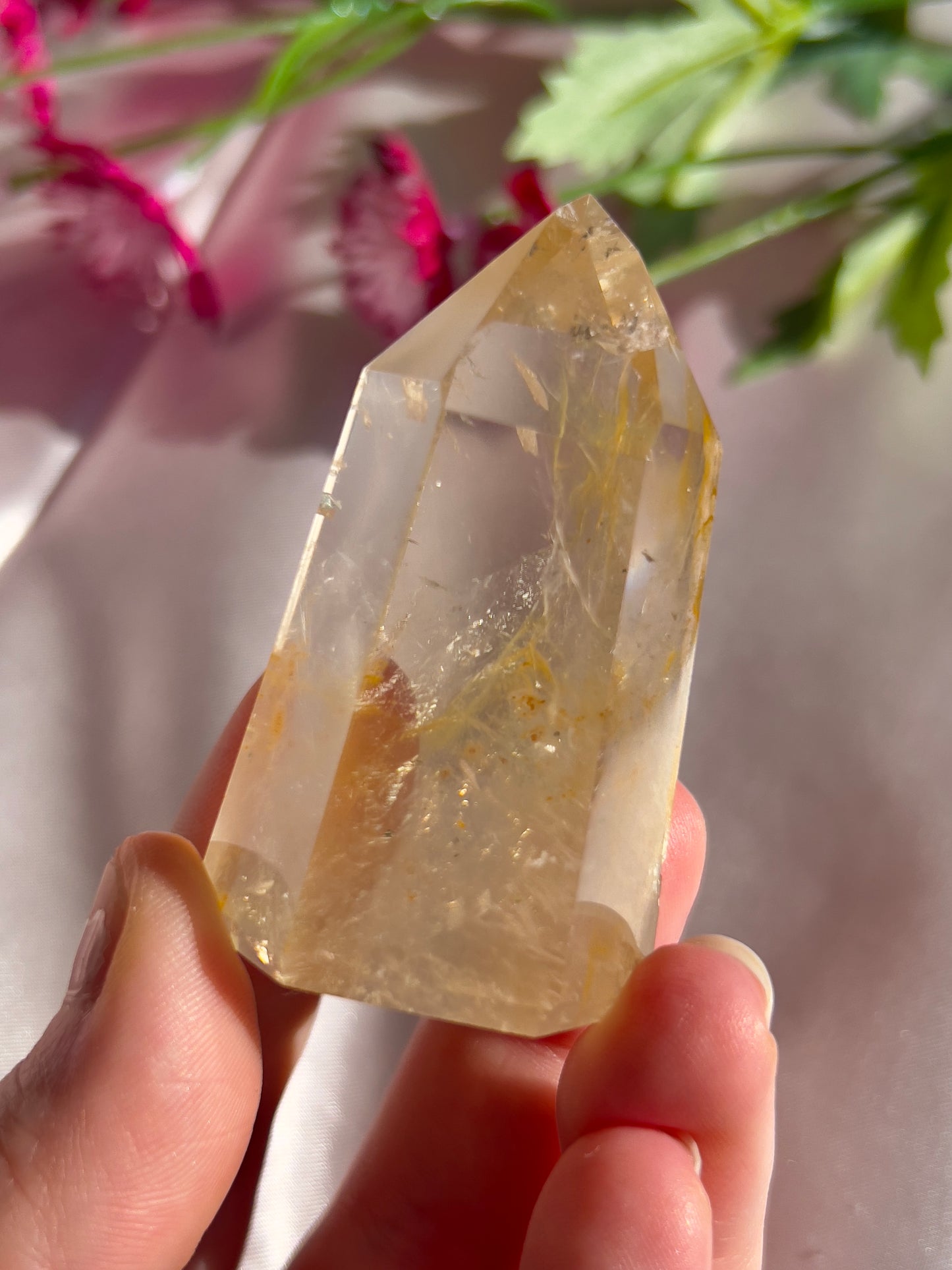 High Quality Golden Healer Tower from Brazil