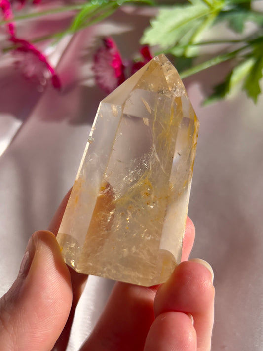 High Quality Golden Healer Tower from Brazil