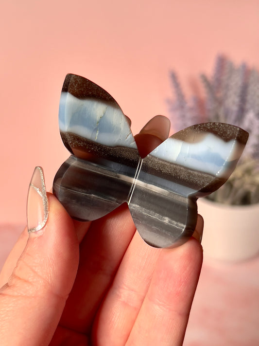 Gorgeous Blue Opal Butterfly - Intuitively Chosen