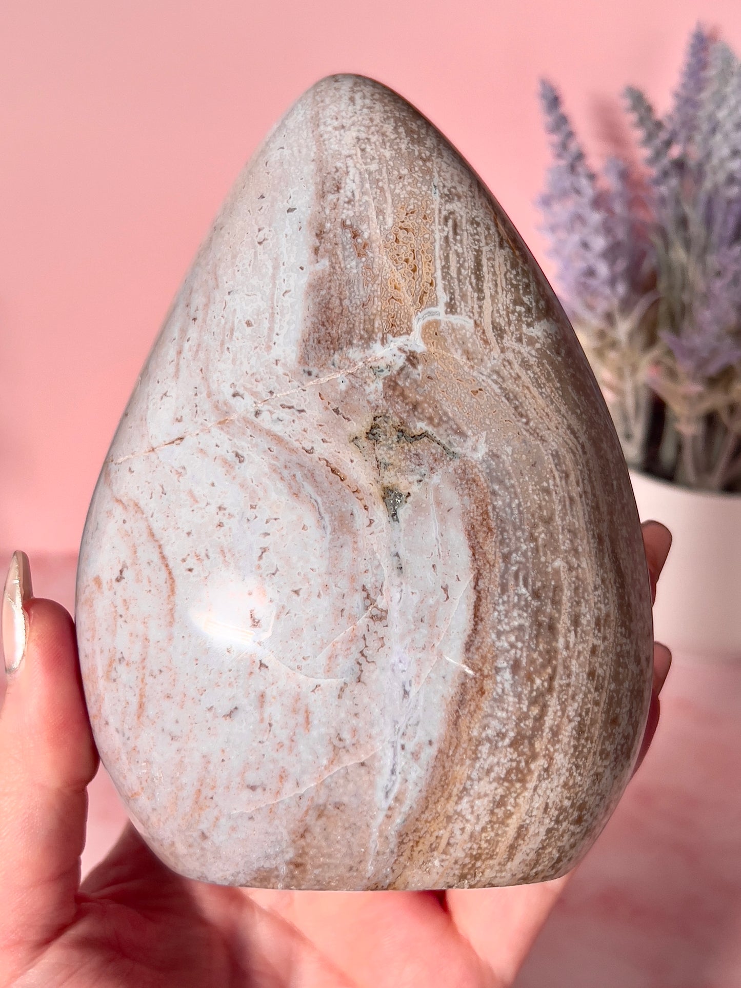 Orbicular Sea Jasper Freeform