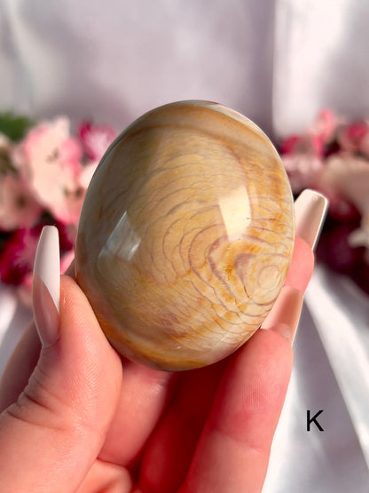 Jumbo Polychrome Palm Stone 