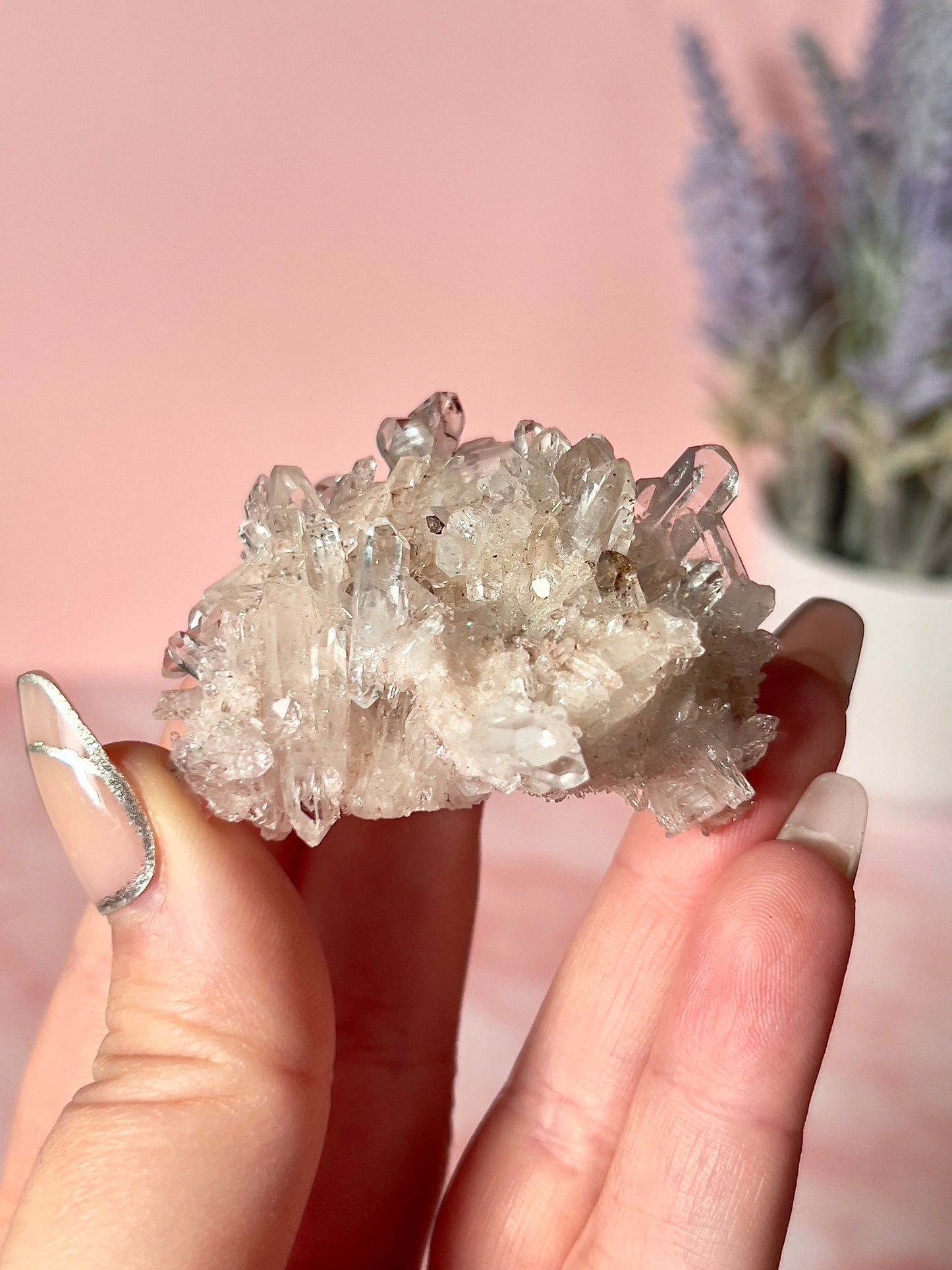 Columbian Pink Lemurian Quartz Cluster