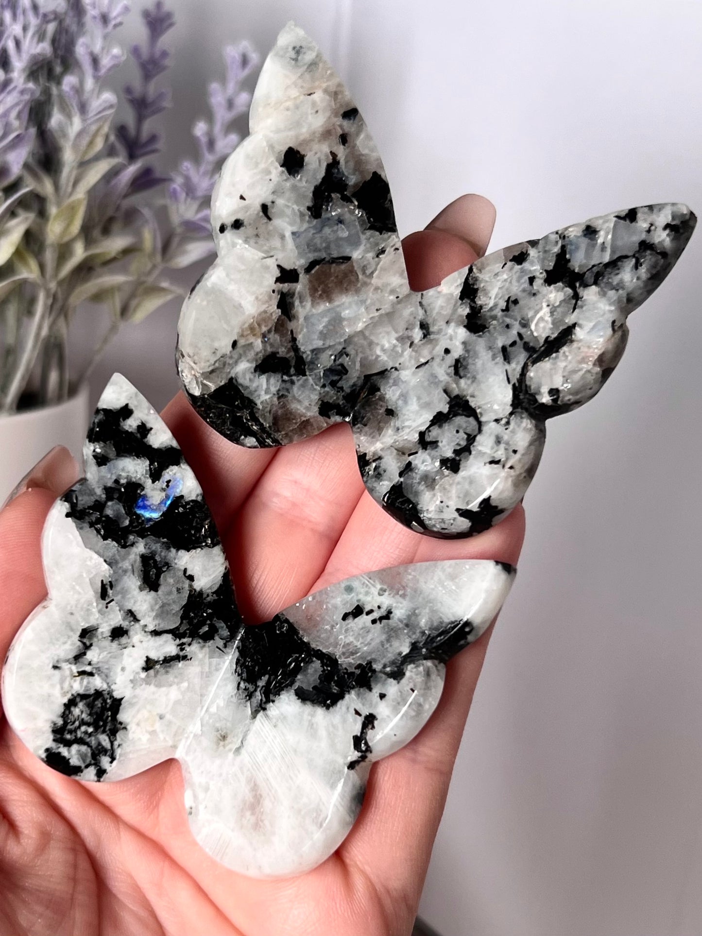 Flashy Rainbow Moonstone 3D Butterfly, Intuitively Chosen