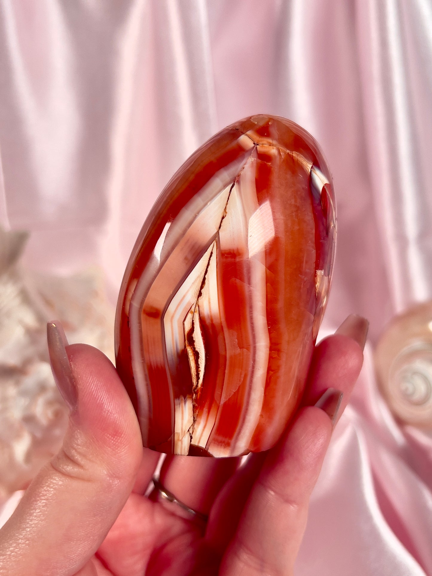 Banded Carnelian + Orca Agate Freeform