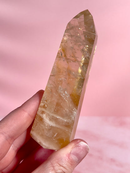 High Quality Golden Healer Tower from Brazil