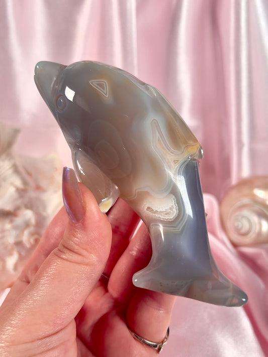 Orca Agate Dolphin