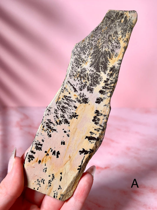 Picture Jasper Slabs - Choose Your Own