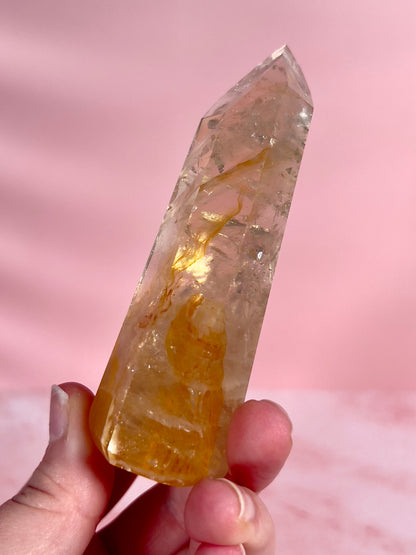 High Quality Golden Healer Tower from Brazil