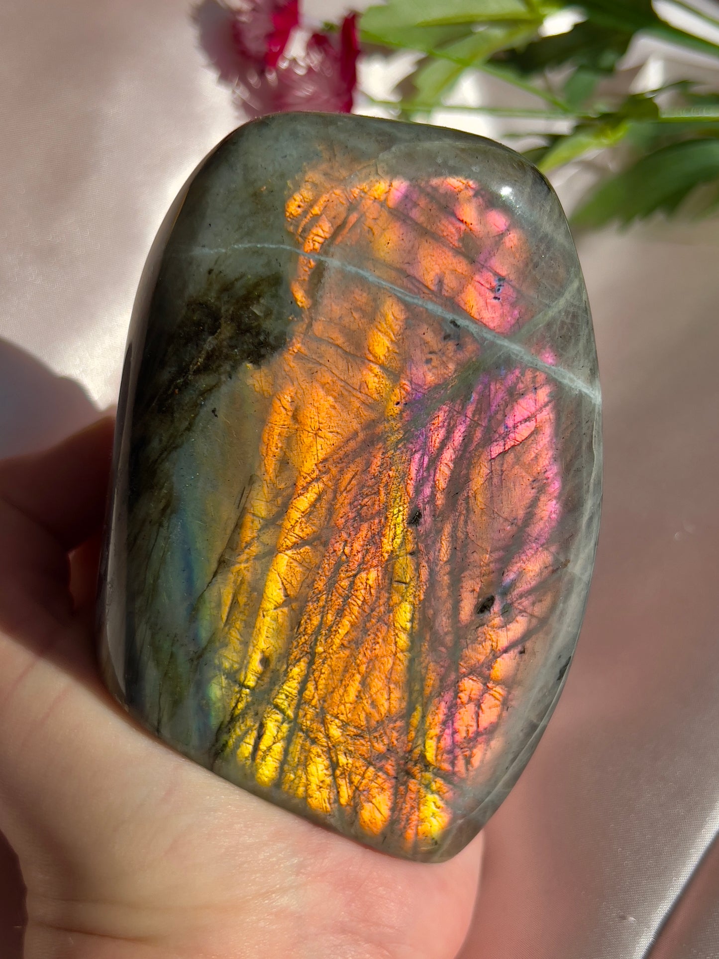 Strawberry Lemonade Labradorite Freeform