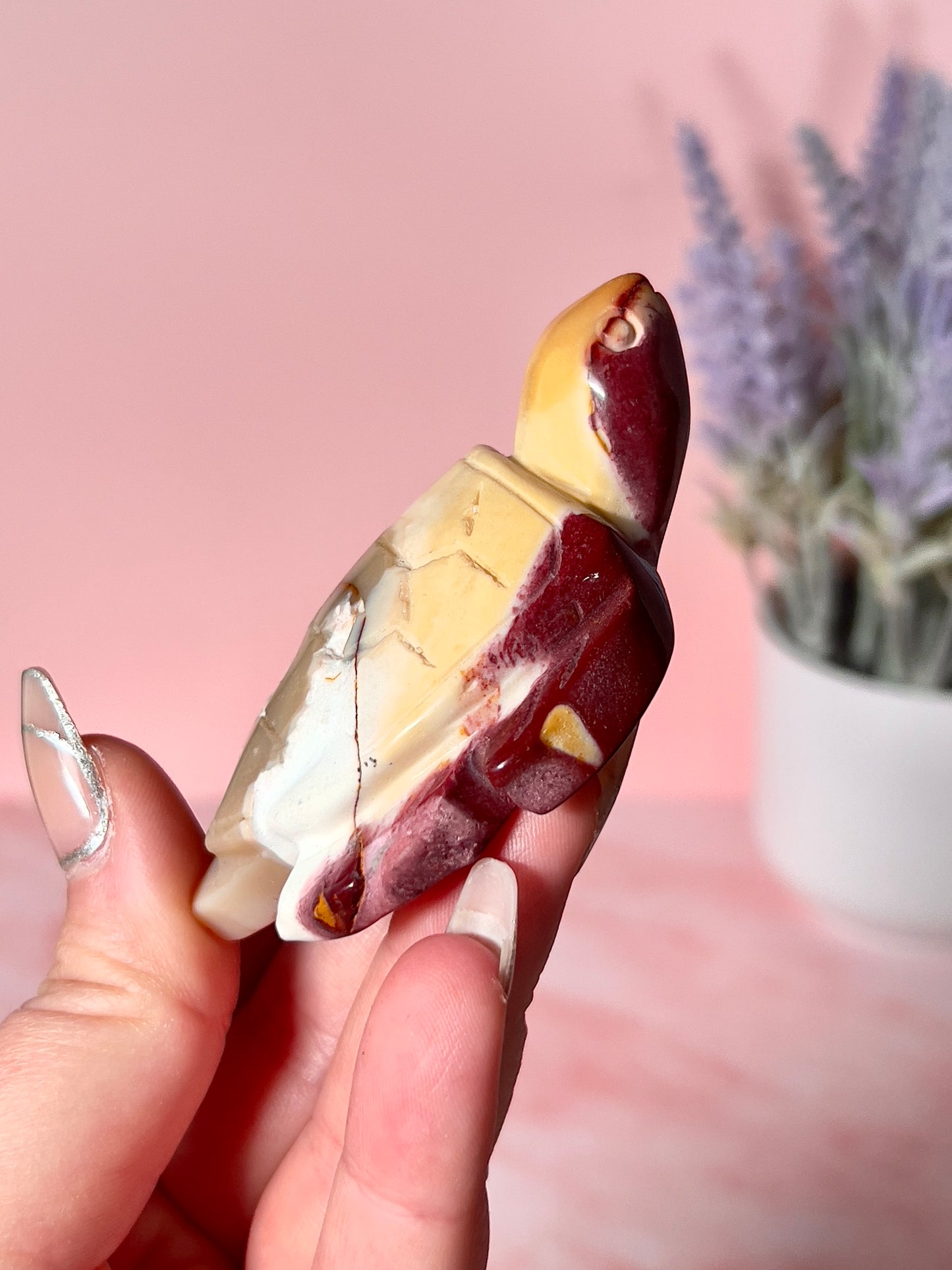 Mookaite Jasper Turtle