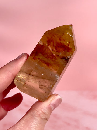 High Quality Golden Healer Tower from Brazil