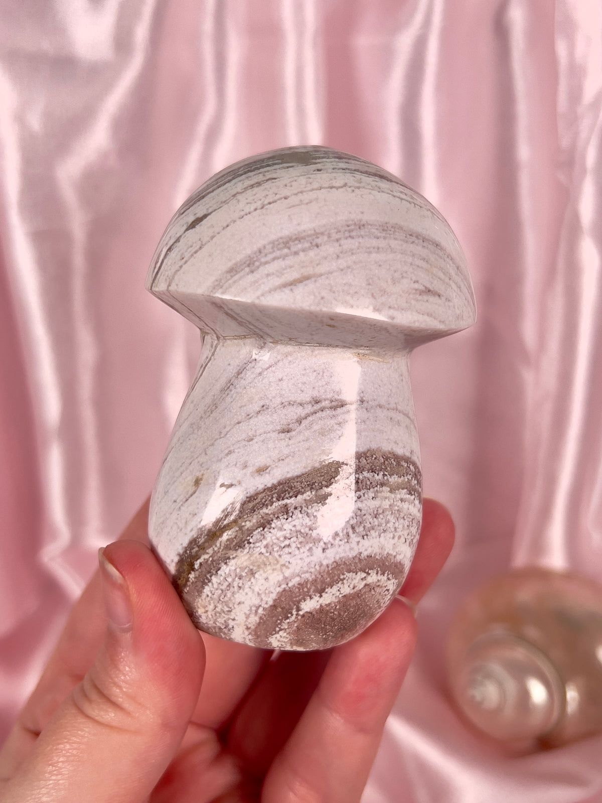 Neutral Sandy Sea Jasper Mushroom
