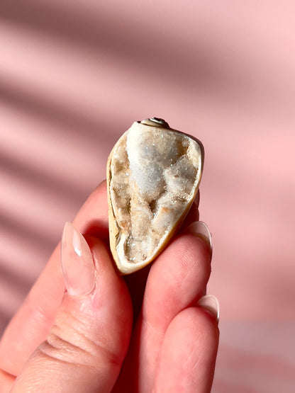 Crystallized Shells from India - Intuitively Chosen