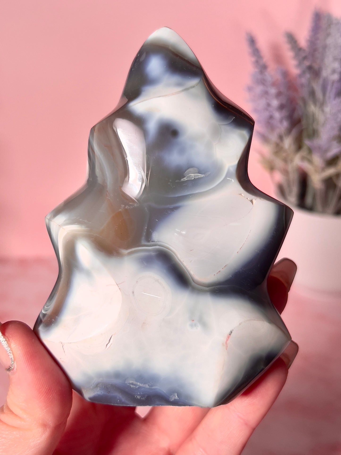 Turtleback Orca Agate Flame