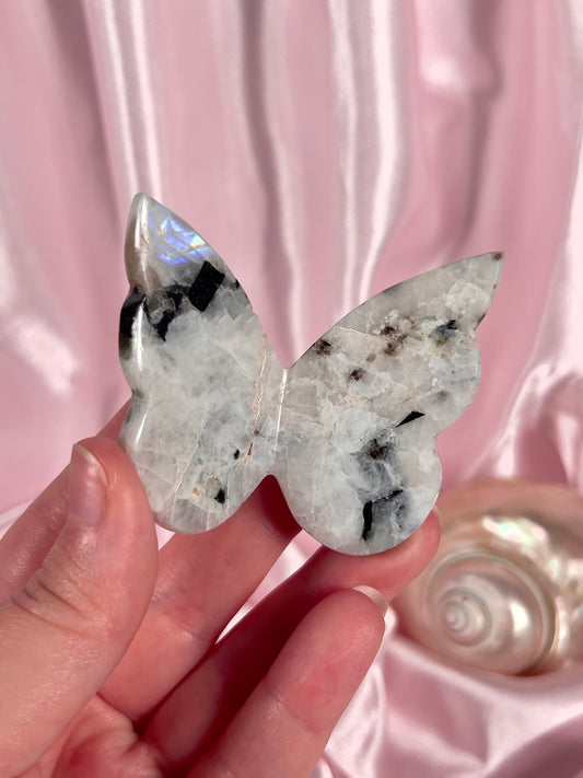 Flashy Rainbow Moonstone 3D Butterfly - Intuitively Chosen