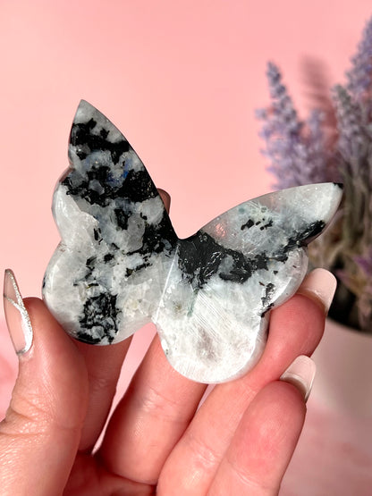 Flashy Rainbow Moonstone 3D Butterfly, Intuitively Chosen