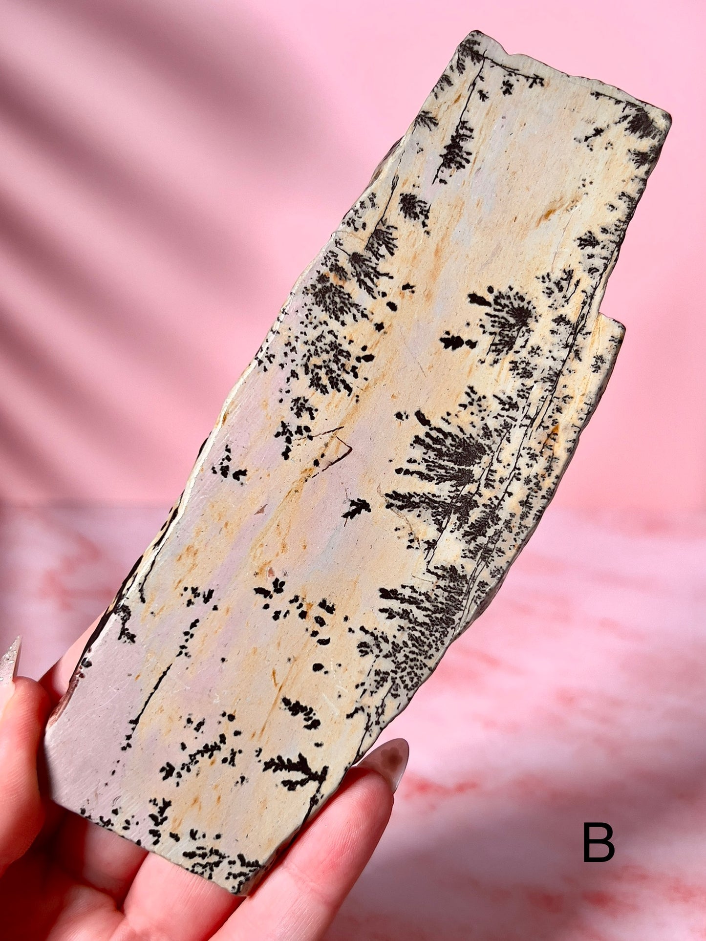 Picture Jasper Slabs - Choose Your Own