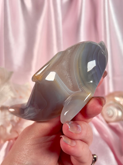 Orca Agate Dolphin