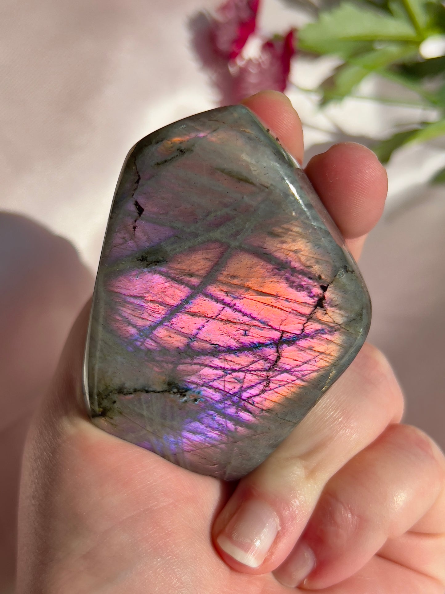 Pink Labradorite Freeform