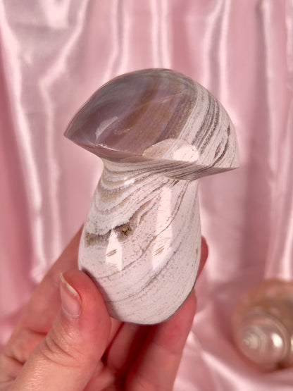 Neutral Sandy Sea Jasper Mushroom