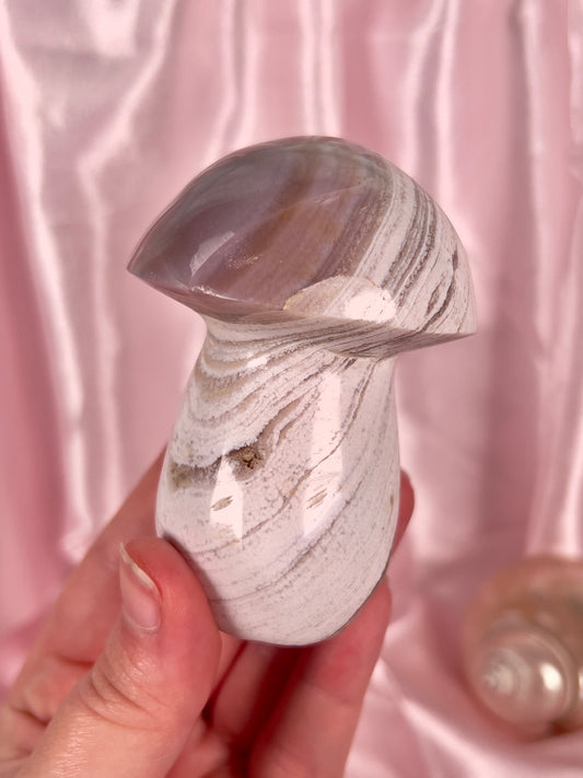 Neutral Sandy Sea Jasper Mushroom