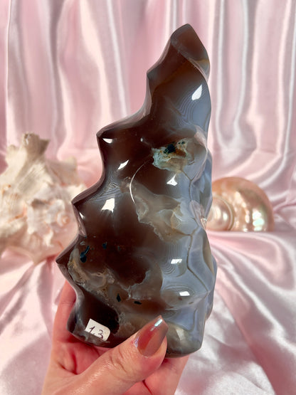 @pawsitive_vibesss2