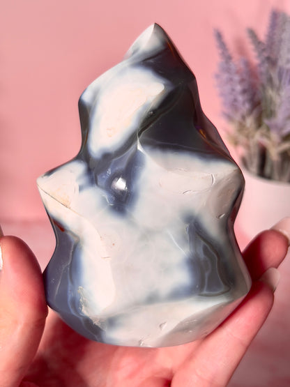 Turtleback Orca Agate Flame