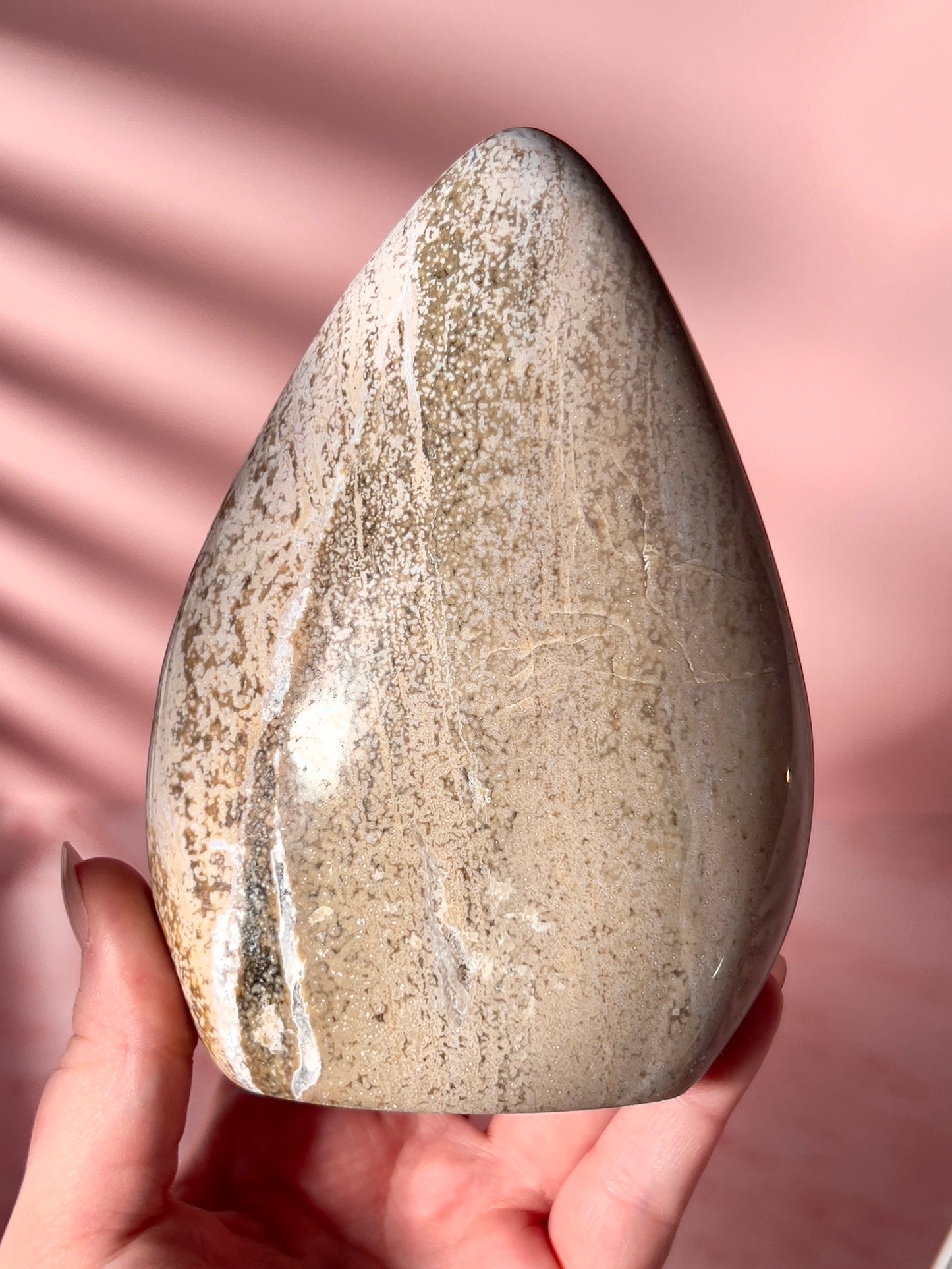 Neutral Orbicular Sea Jasper Freeform