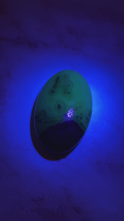 Volcano Agate Palm Stone - Green UV Reactive