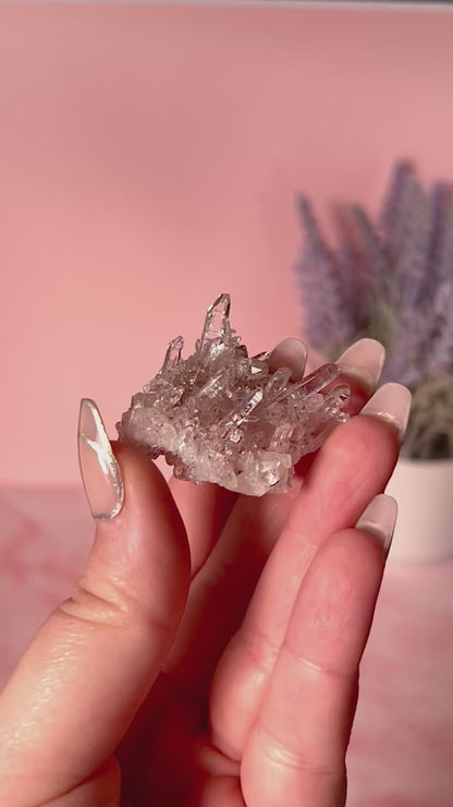 Columbian Pink Lemurian Quartz Cluster