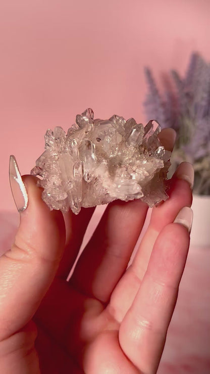 Columbian Pink Lemurian Quartz Cluster
