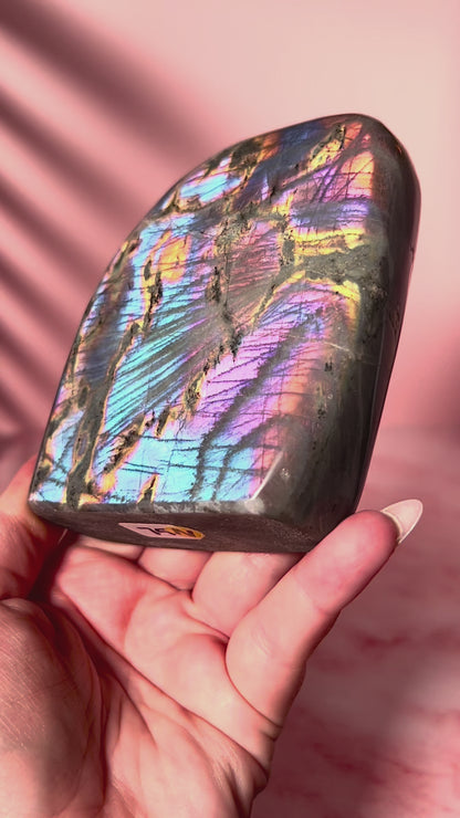 Rainbow Labradorite Freeform
