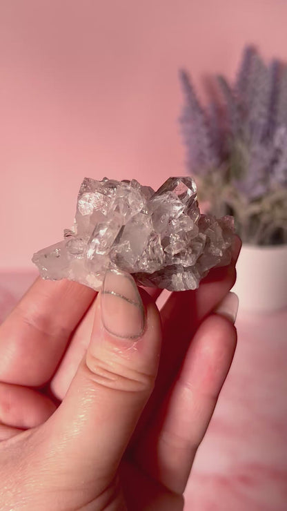 Columbian Pink Lemurian Quartz Cluster
