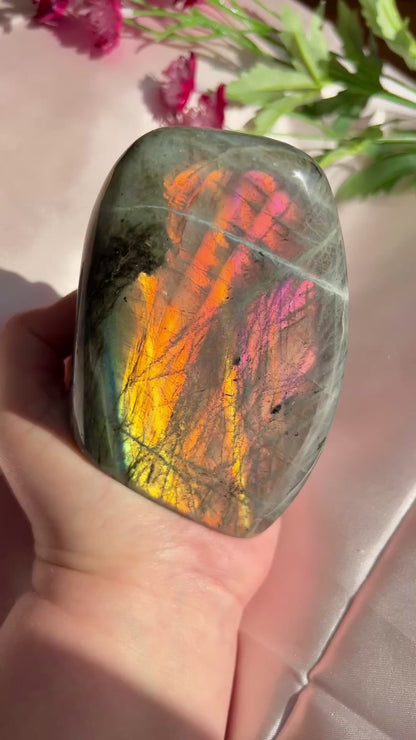 Strawberry Lemonade Labradorite Freeform