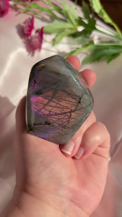 Pink Labradorite Freeform