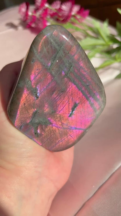 Pink Labradorite Freeform
